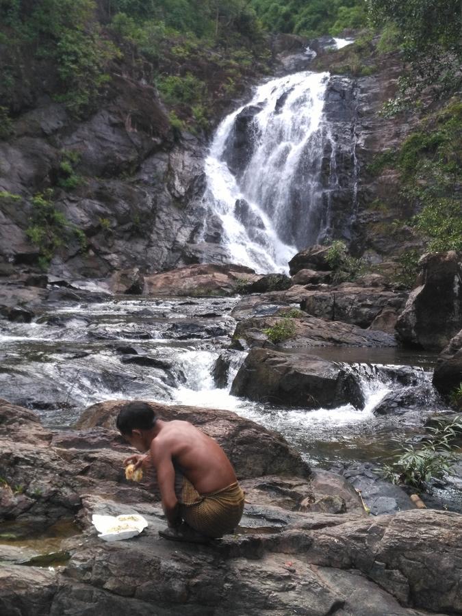 Tree Lodge รัตนคีรี ภายนอก รูปภาพ